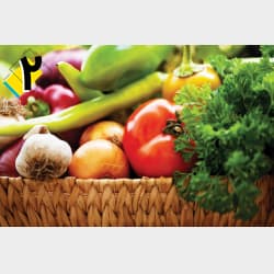 مشارکت در تامین سرمایه افزایش شعب مزرعه‌های ارگانا مرحله دوم